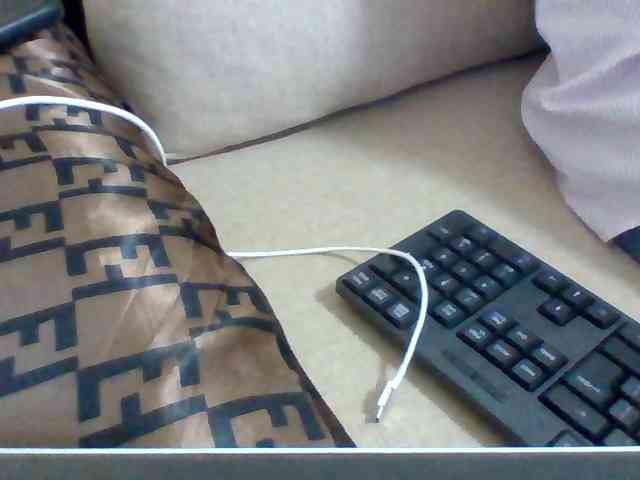 Dollie webcam