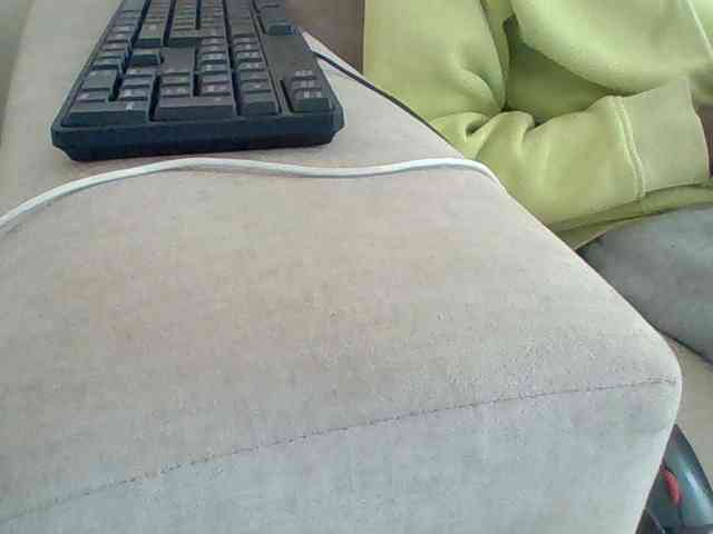 Dollie webcam