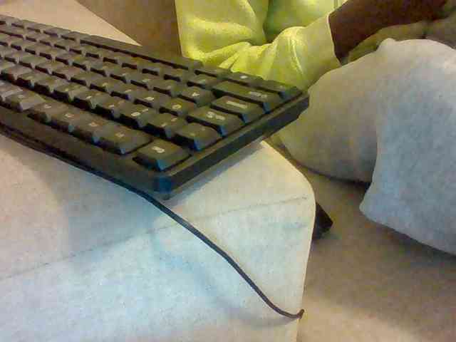 Dollie webcam