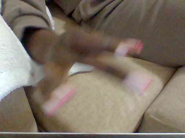 Dollie webcam