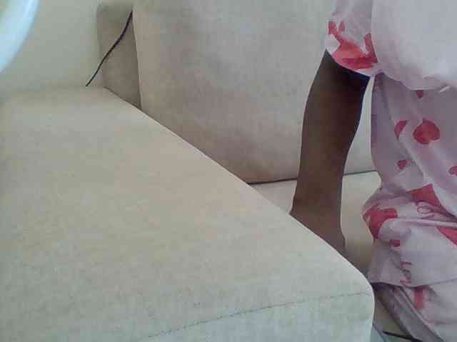 Dollie webcam