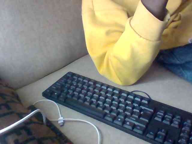 Dollie webcam