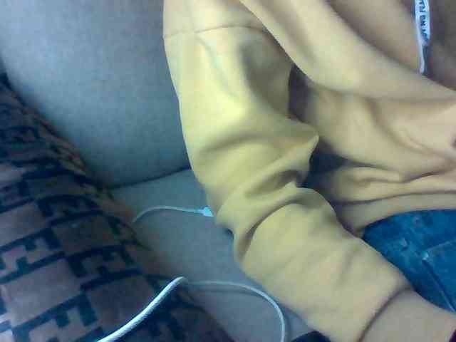 Dollie webcam