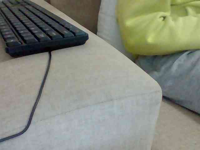 Dollie webcam