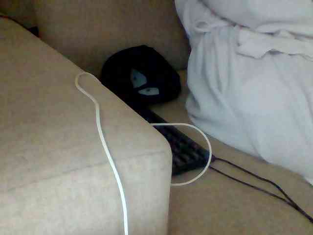 Dollie webcam