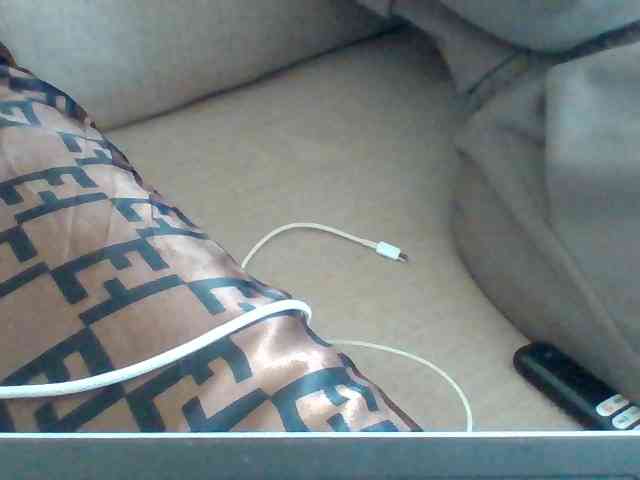 Dollie webcam