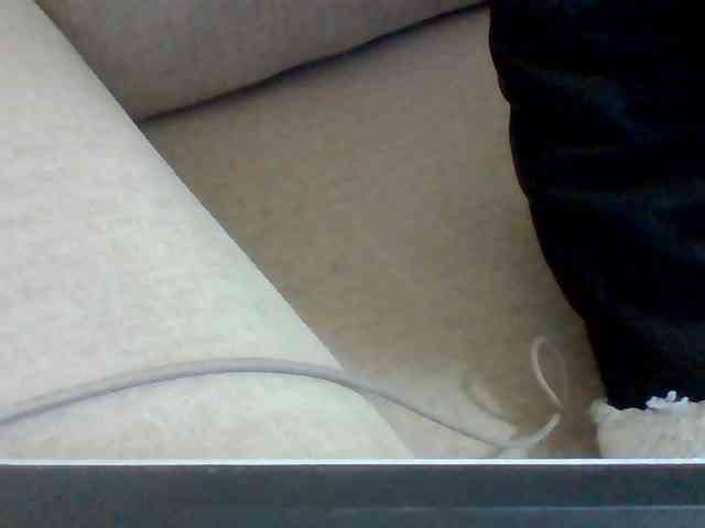 Dollie webcam