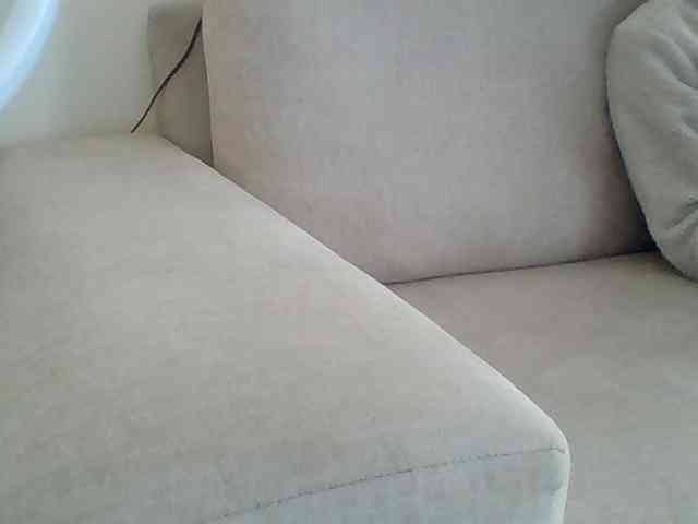 Dollie webcam