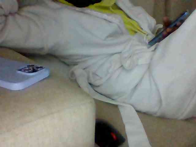 Dollie webcam