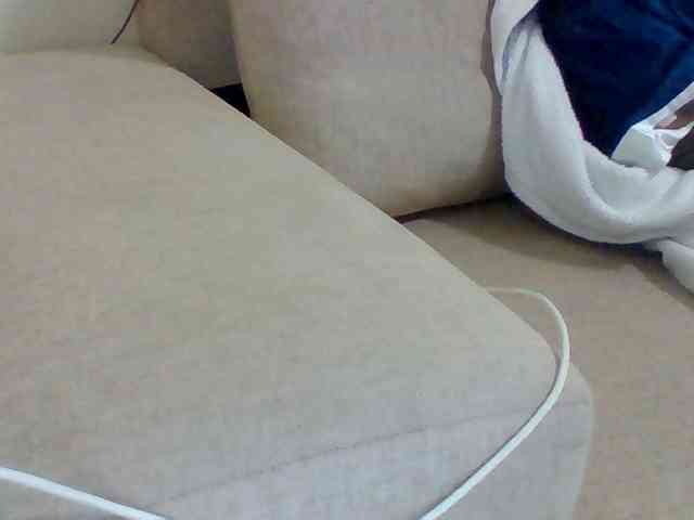 Dollie webcam