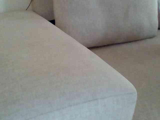 Dollie webcam