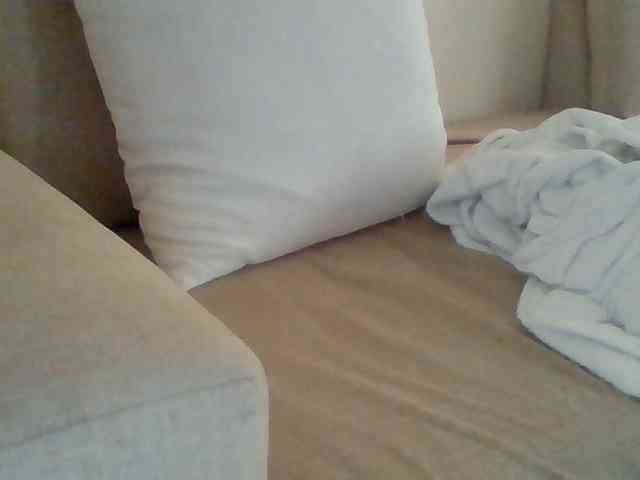 Dollie webcam