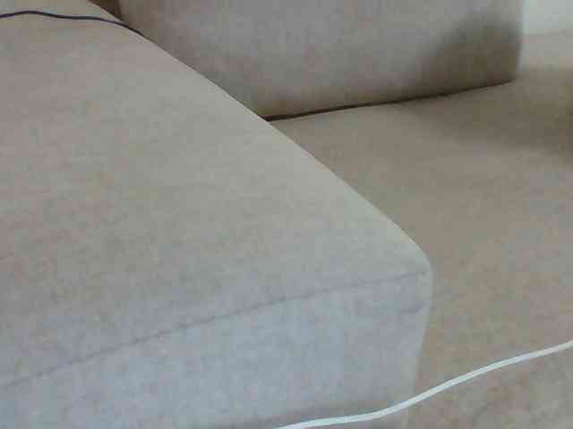 Dollie webcam