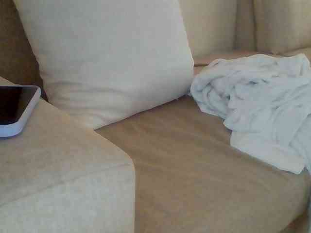 Dollie webcam