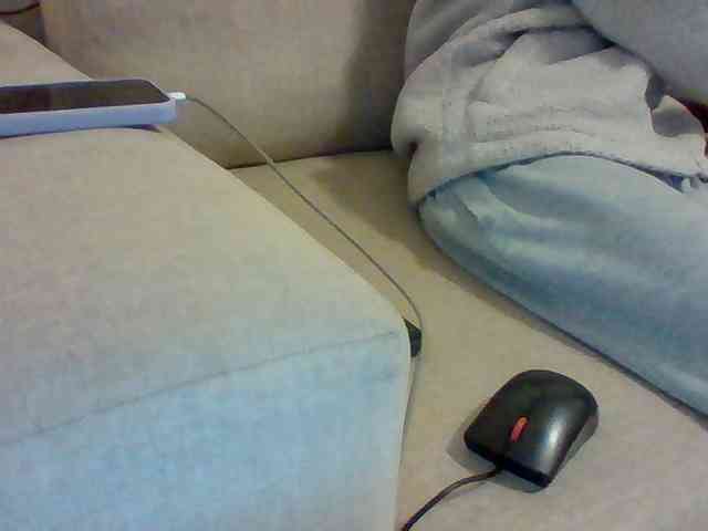 Dollie webcam