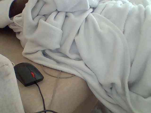 Dollie webcam