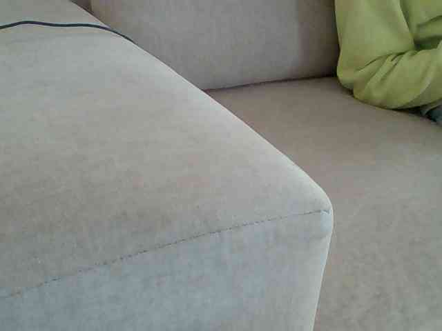 Dollie webcam