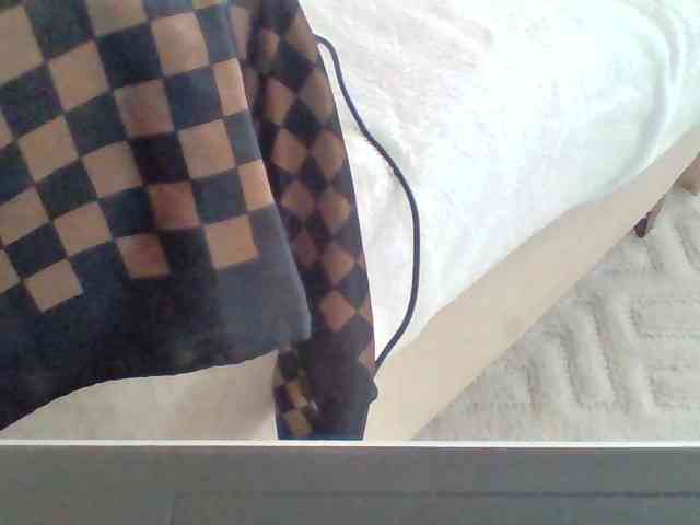 Dollie webcam