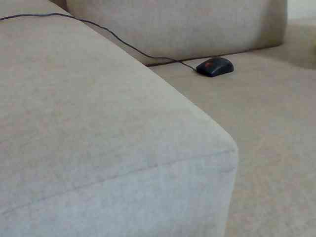 Dollie webcam