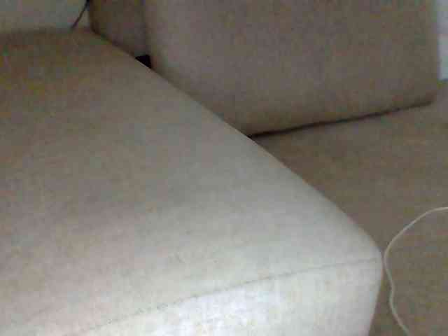 Dollie webcam