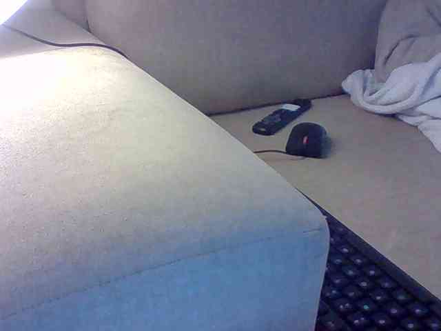 Dollie webcam