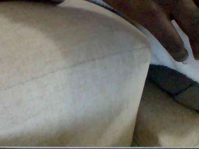 Dollie webcam