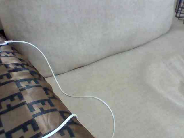 Dollie webcam