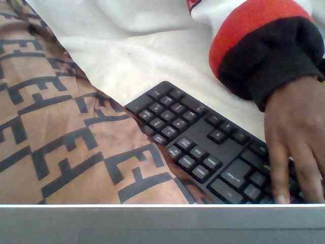 Dollie webcam