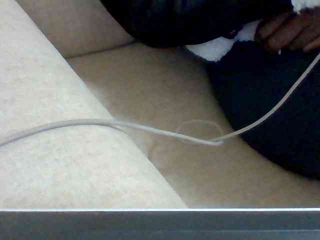 Dollie webcam