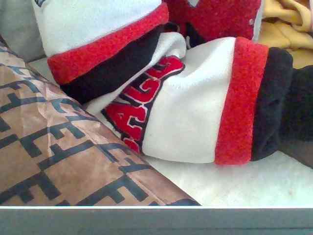 Dollie webcam
