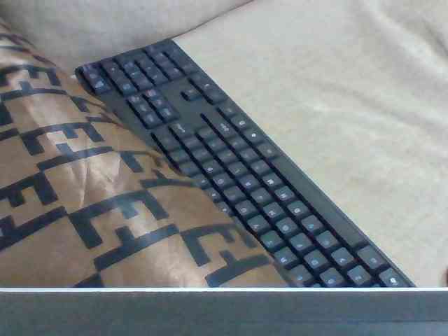 Dollie webcam