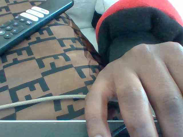 Dollie webcam