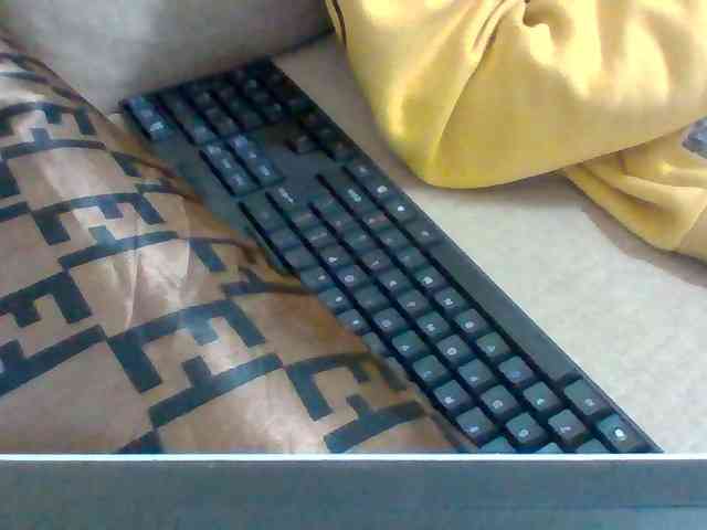 Dollie webcam