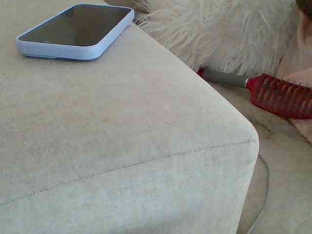 Dollie webcam