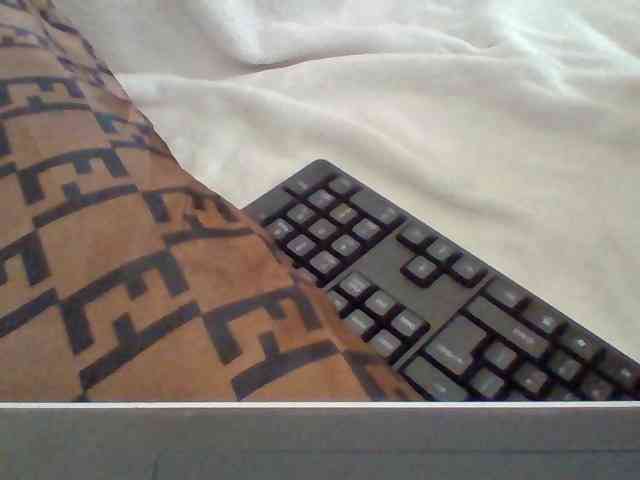Dollie webcam