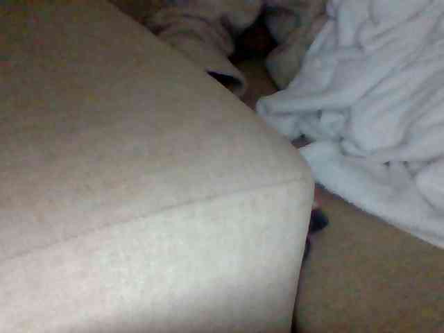 Dollie webcam