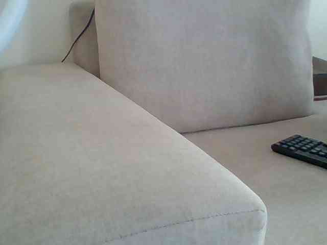Dollie webcam
