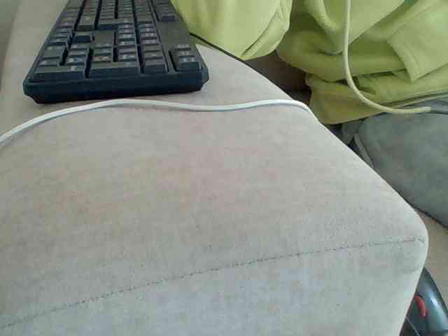 Dollie webcam