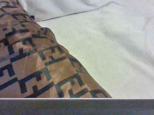 Dollie webcam