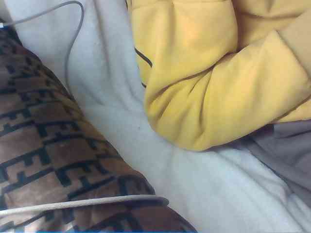 Dollie webcam