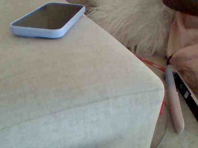 Dollie webcam