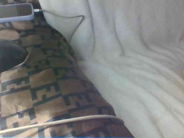 Dollie webcam
