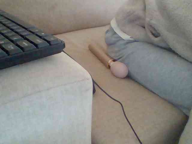 Dollie webcam