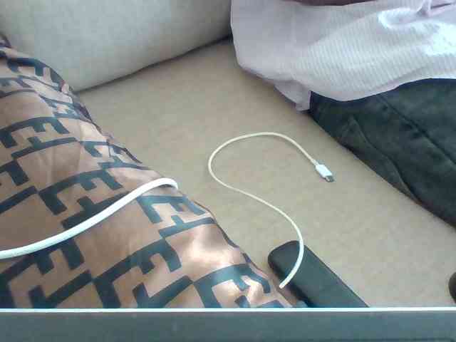 Dollie webcam