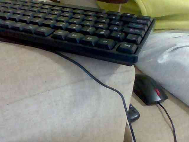 Dollie webcam