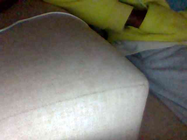 Dollie webcam