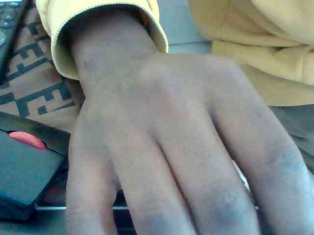 Dollie webcam