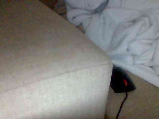 Dollie webcam