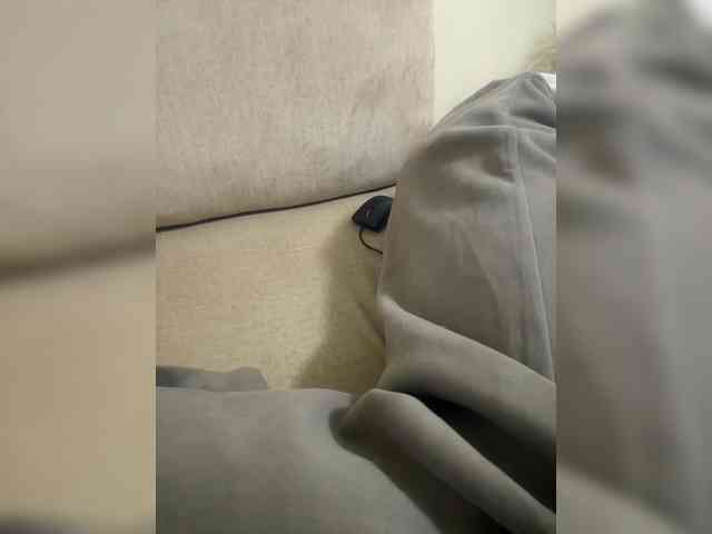 Dollie webcam