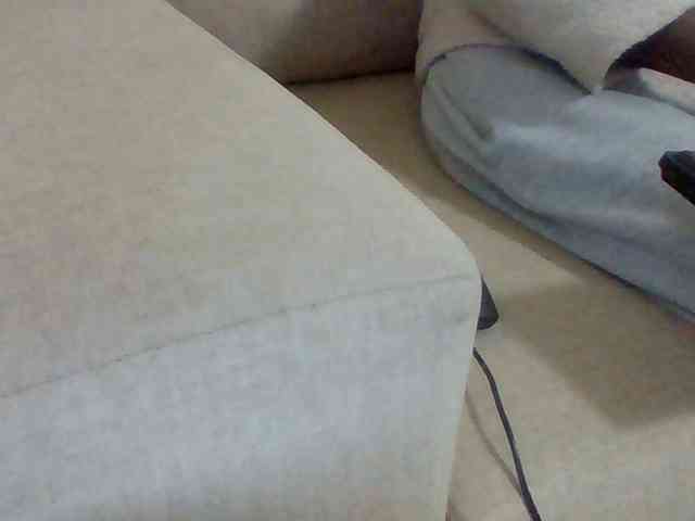 Dollie webcam